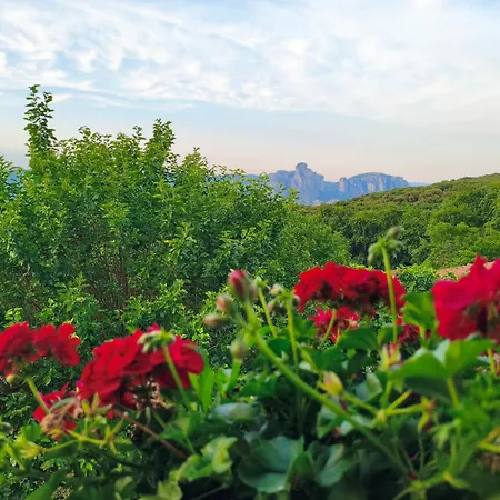 Meteora Panorama Garden * Diava